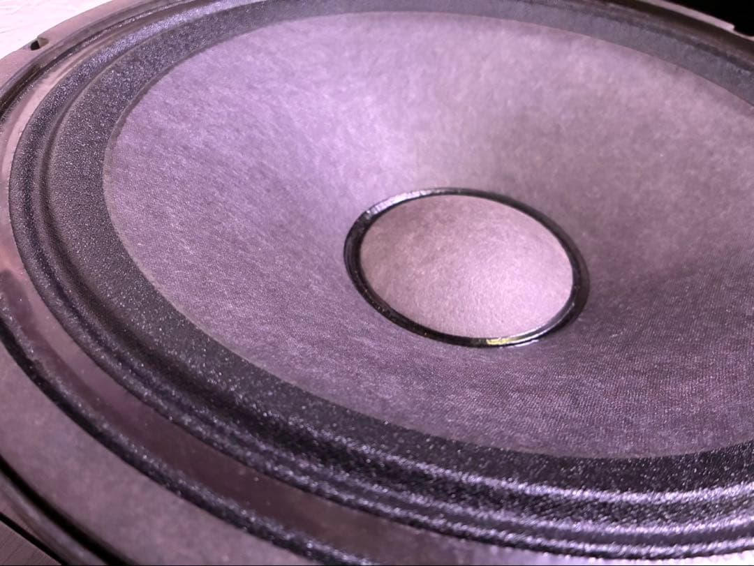 Electro-Voice (エレクトロボイス) / 15インチウーハー DL15BFH ※シリアルペア