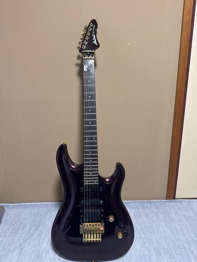 ARIAPROII (アリアプロツー) / WR-803 特注カスタム品(ワンオフ)