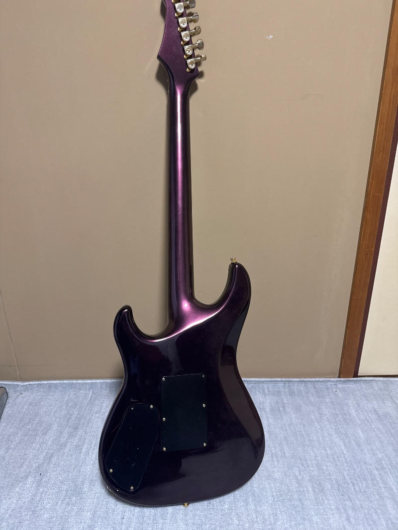 ARIAPROII (アリアプロツー) / WR-803 特注カスタム品(ワンオフ)