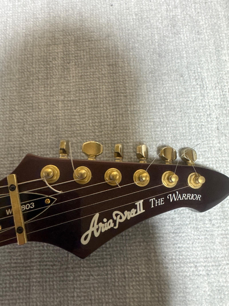 ARIAPROII (アリアプロツー) / WR-803 特注カスタム品(ワンオフ)