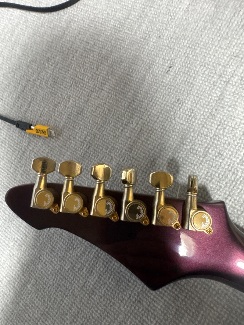 ARIAPROII (アリアプロツー) / WR-803 特注カスタム品(ワンオフ)