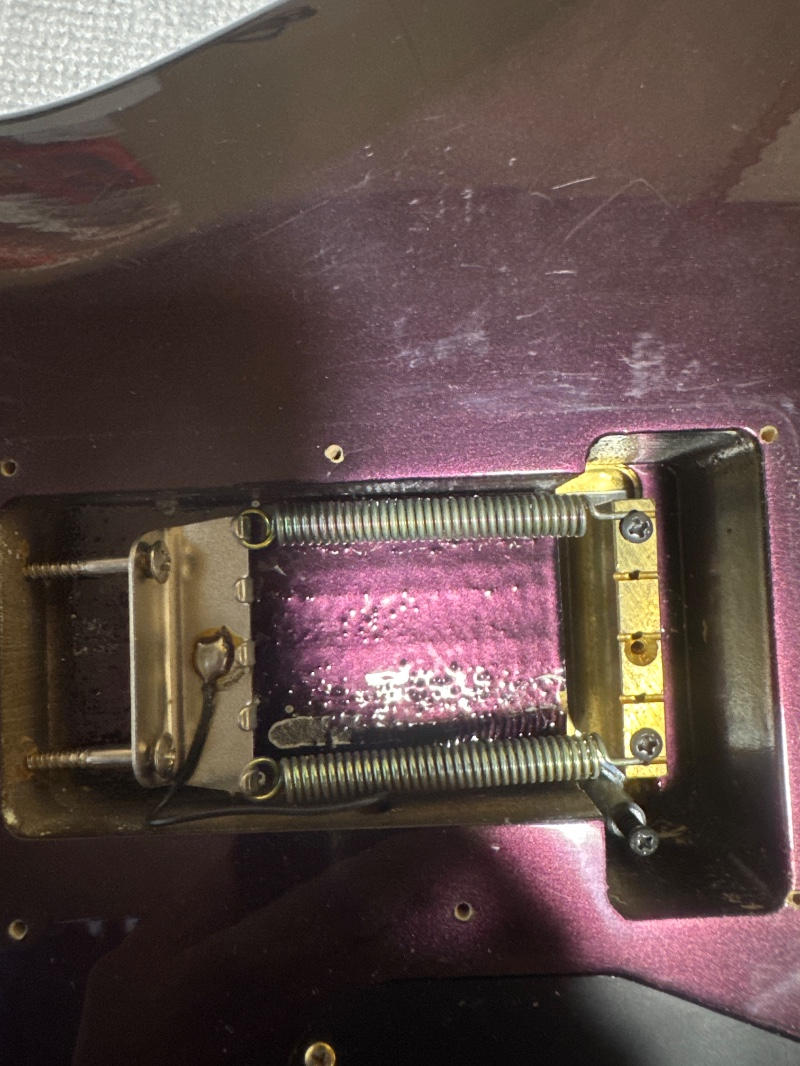 ARIAPROII (アリアプロツー) / WR-803 特注カスタム品(ワンオフ)