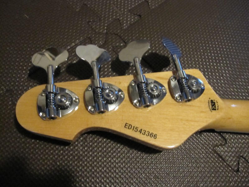 EDWARDS (エドワーズ) / EDWARDS(By ESP)E-AM-155AS/M 美品