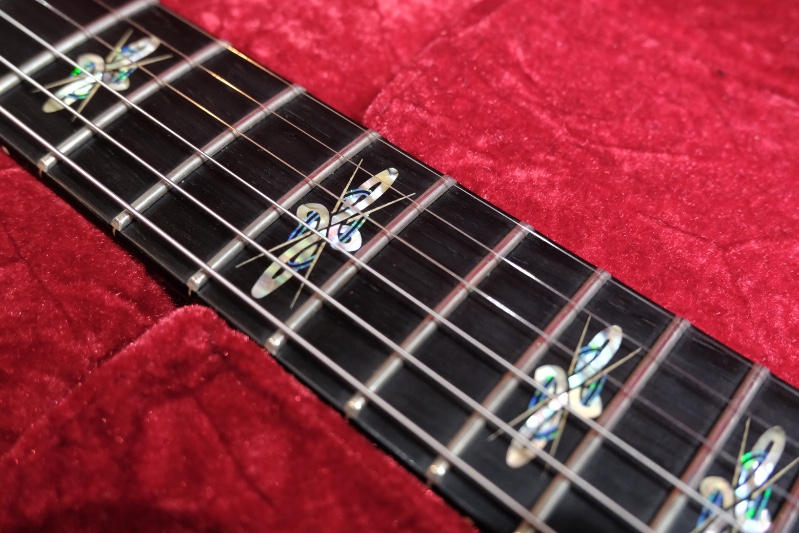 Paul Reed Smith (PRS) (ポールリードスミス) / 『世界200本限定』オルミゴネックPRS privatestock