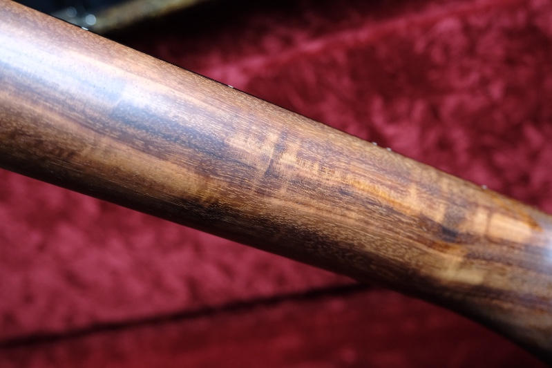 Paul Reed Smith (PRS) (ポールリードスミス) / 『世界200本限定』オルミゴネックPRS privatestock