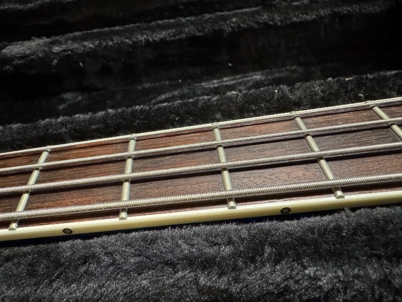 FERNANDES (フェルナンデス) Byrny Janne Da Arc / 【超美品】Burny KRS-TRUTH ka-yuモデル JanneDaArc