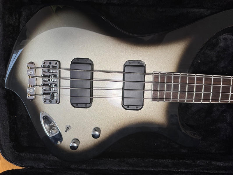 FERNANDES (フェルナンデス) Byrny Janne Da Arc / 【超美品】Burny KRS-TRUTH ka-yuモデル JanneDaArc