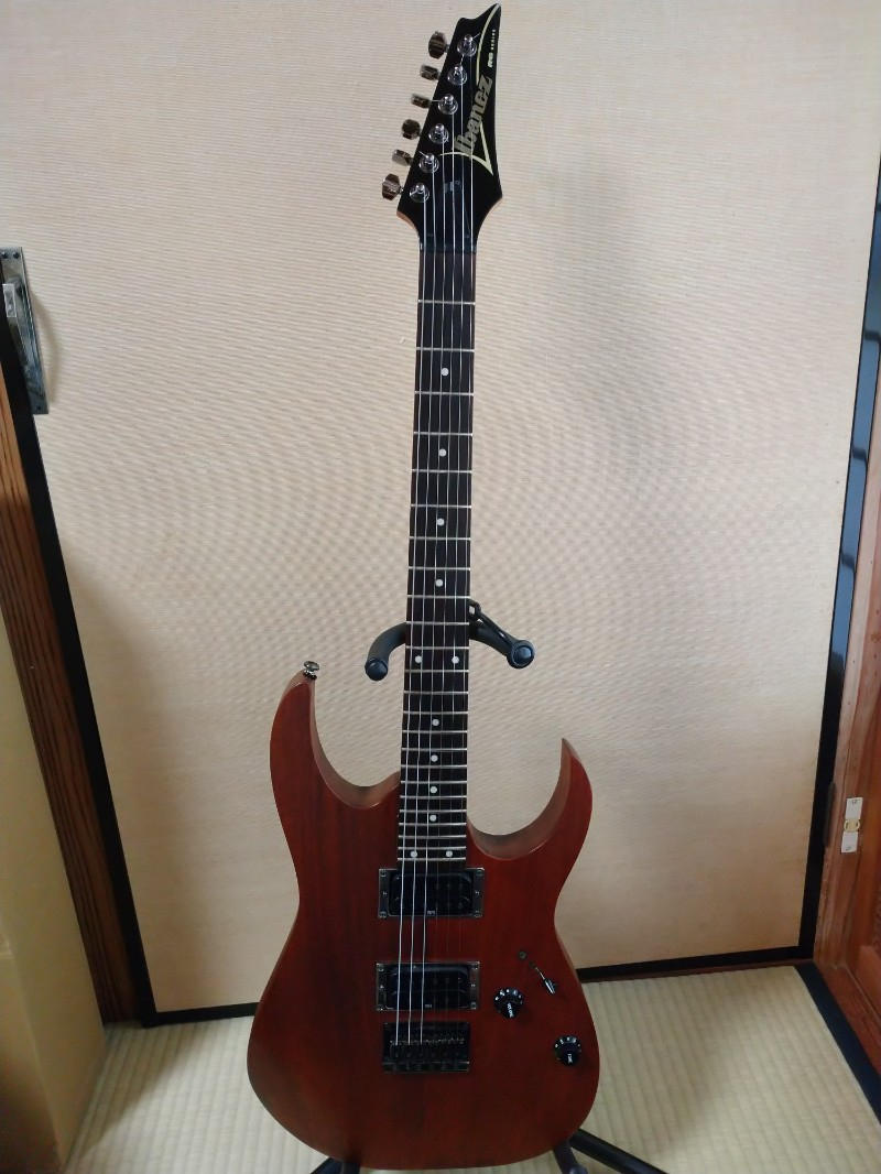 Ibanez (アイバニーズ) / RG421