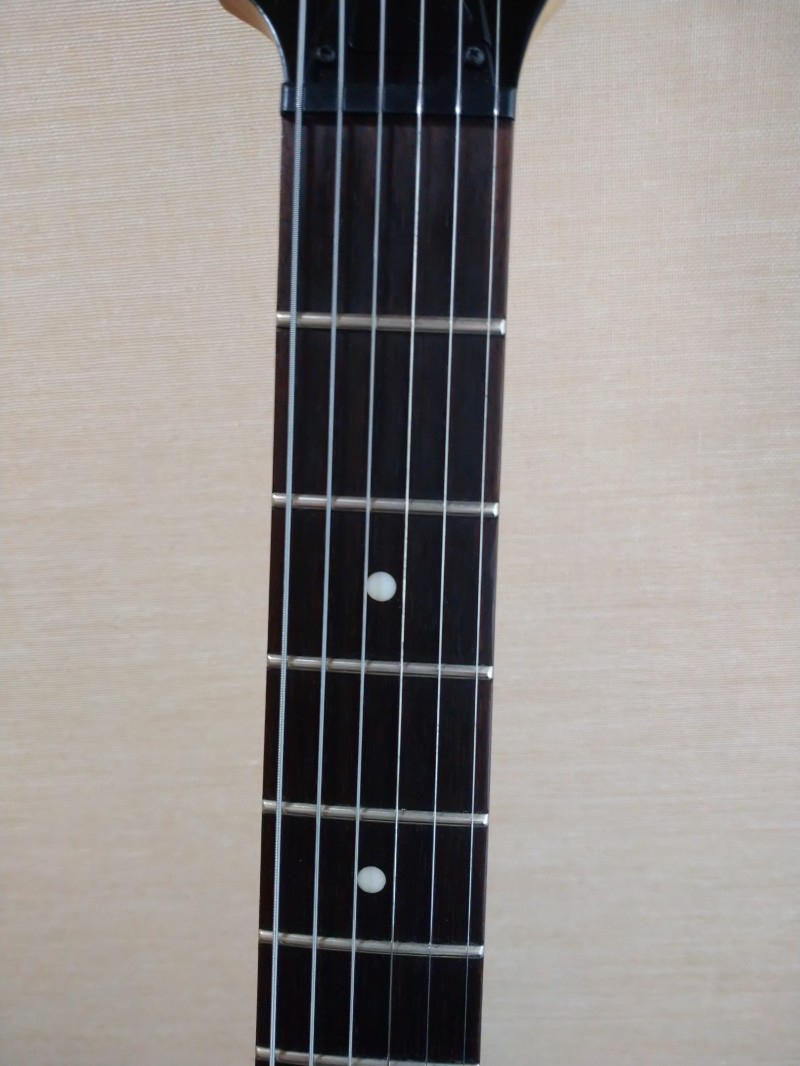 Ibanez (アイバニーズ) / RG421