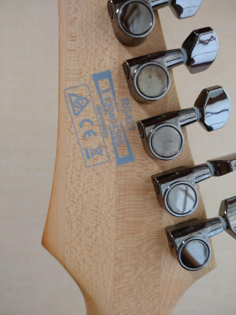 Ibanez (アイバニーズ) / RG421