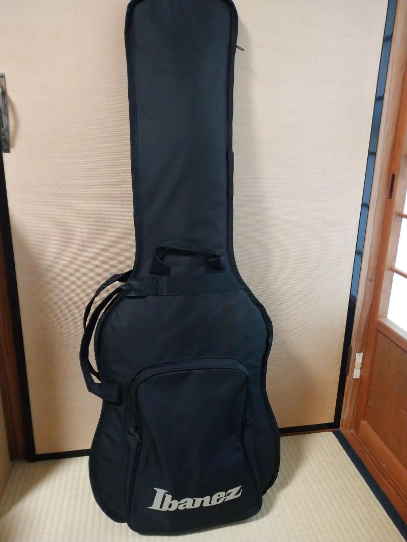 Ibanez (アイバニーズ) / RG421