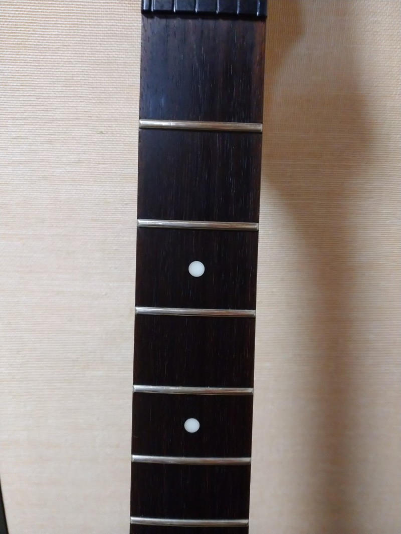 Ibanez (アイバニーズ) / RG421