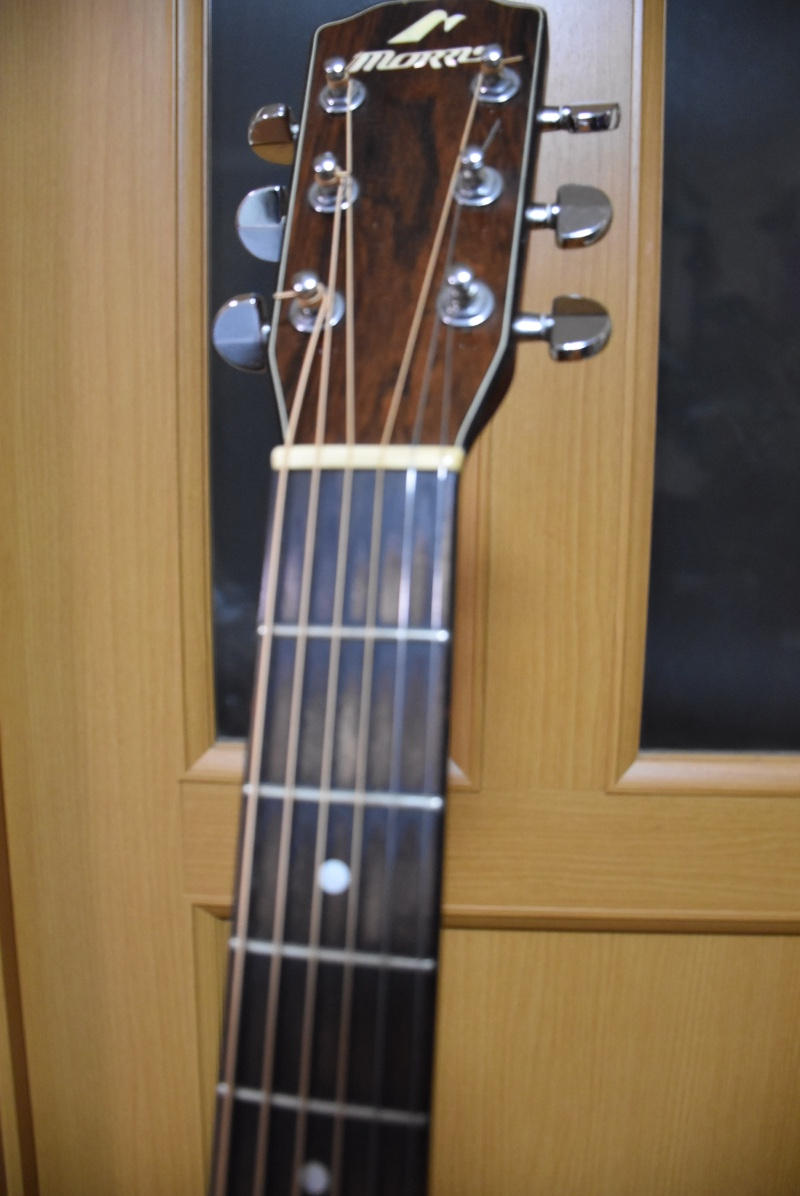 MORRIS (モーリス) / 佐藤タイジ所有ギター 直筆サイン入り シアターブルック THEATRE BROOK Morris M1003 LTD