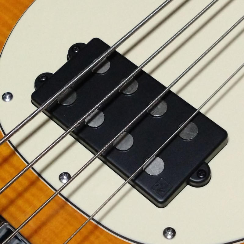 STERLING (スターリン) / 【スティングレイカスタム】Stingray Ray34×MM4.2