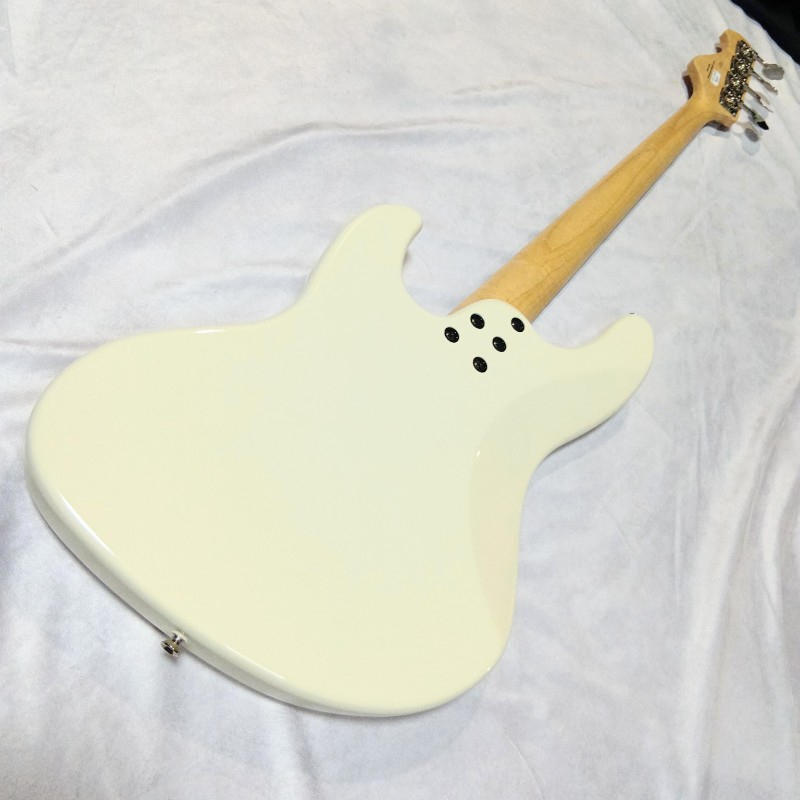 FUJIGEN (フジゲン) / 【生産完了品/日本製ジャズベース】FUJIGEN BMJ-R 変形 べっ甲PG made in Japan 特別仕様
