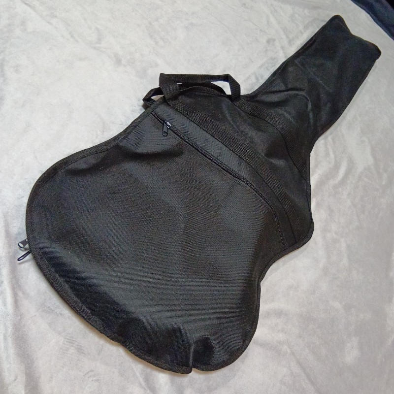 FUJIGEN (フジゲン) / 【生産完了品/日本製ジャズベース】FUJIGEN BMJ-R 変形 べっ甲PG made in Japan 特別仕様