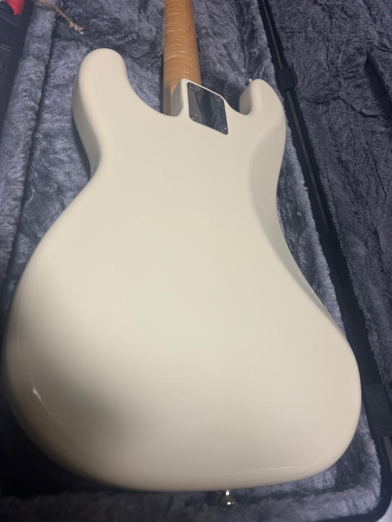 Wood Custom Guitars / Wood Custom Guitars gene-4 NV model