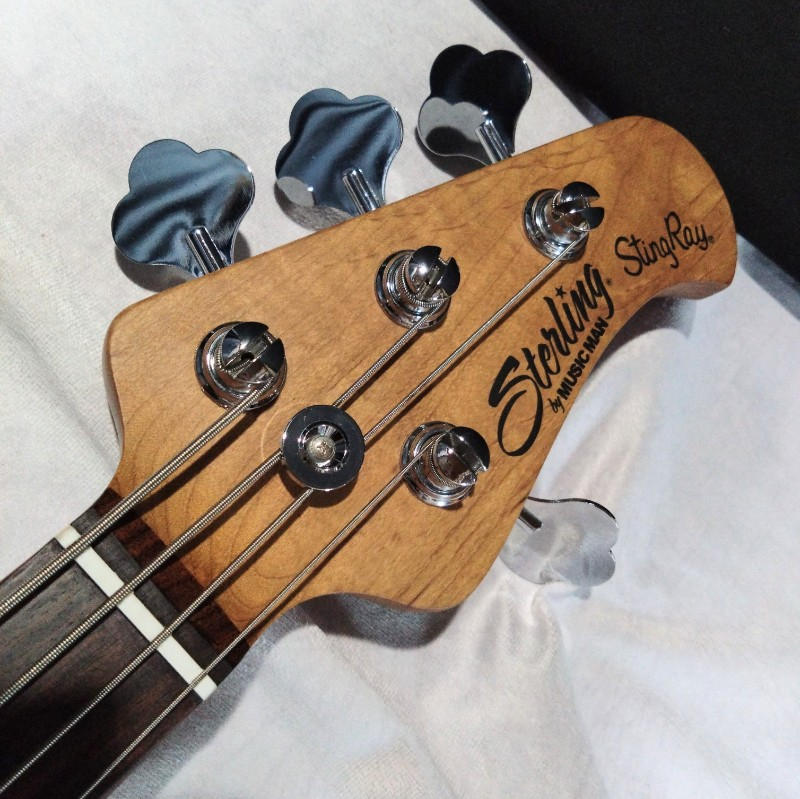 STERLING (スターリン) / 【スティングレイ】RAY34BKR2 Sterling by MUSICMAN Black