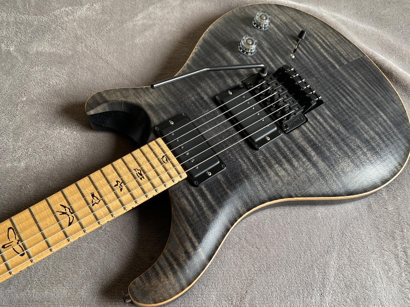 Paul Reed Smith (PRS) (ポールリードスミス) / レア PRS DW CE24 Floyd Dustie 2018年 3.4㎏