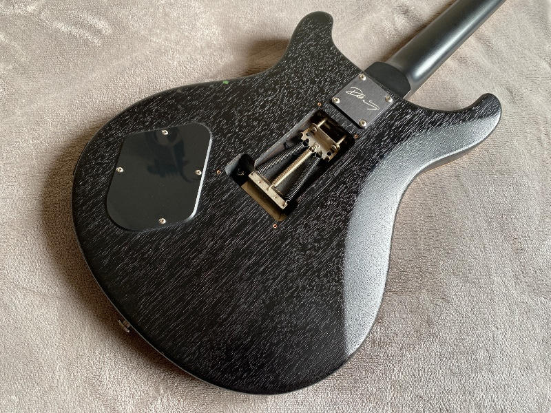 Paul Reed Smith (PRS) (ポールリードスミス) / レア PRS DW CE24 Floyd Dustie 2018年 3.4㎏