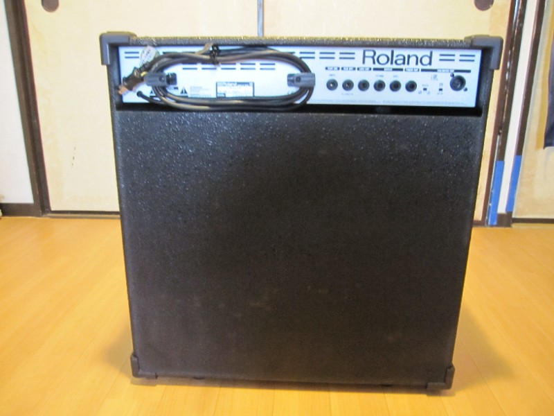 ROLAND (ローランド) / ROLAND D-BASS115