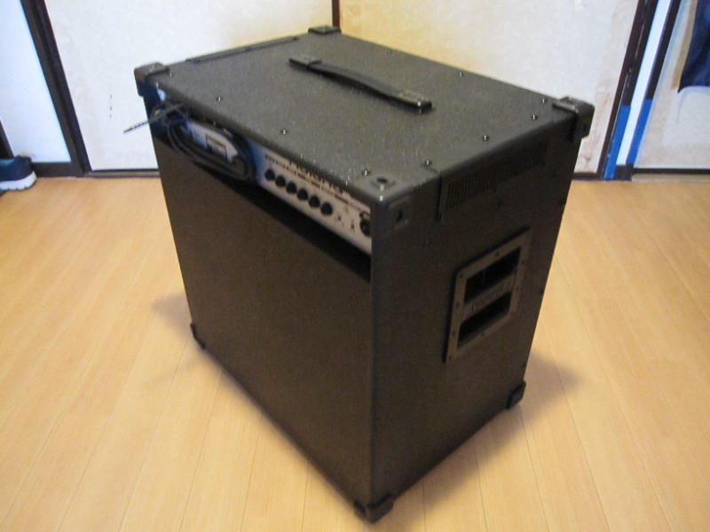 ROLAND (ローランド) / ROLAND D-BASS115