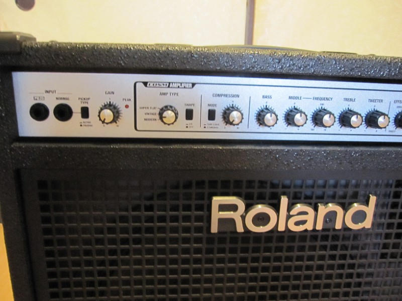 ROLAND (ローランド) / ROLAND D-BASS115