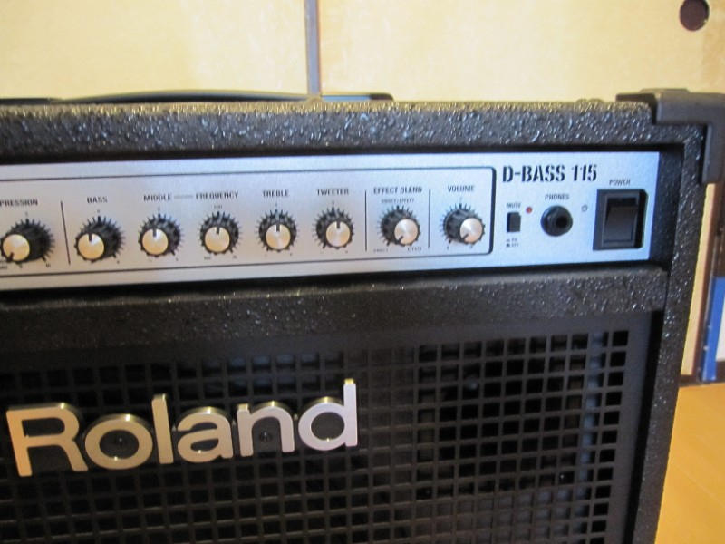 ROLAND (ローランド) / ROLAND D-BASS115