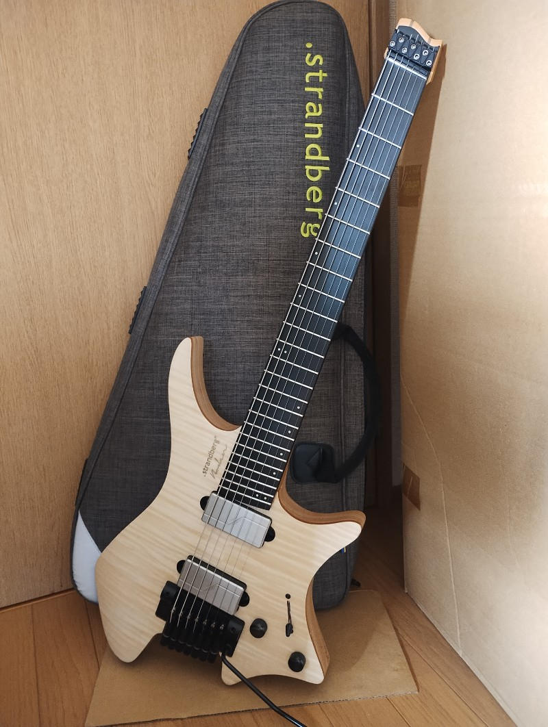 Strandberg / Boden prog7