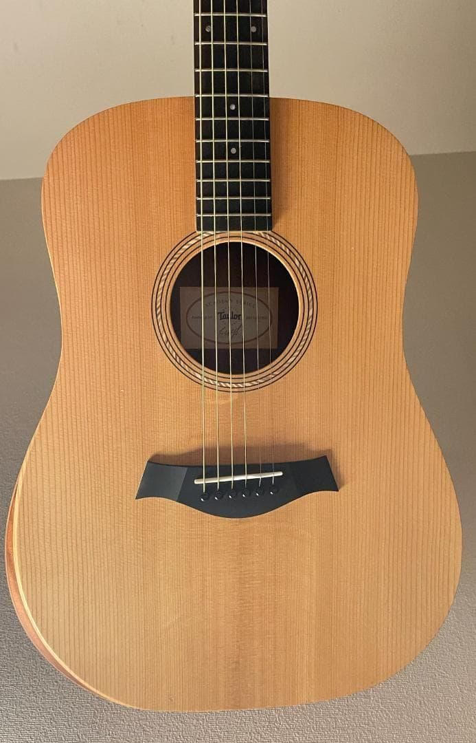 Taylor Guitars (テイラー) / Academy10