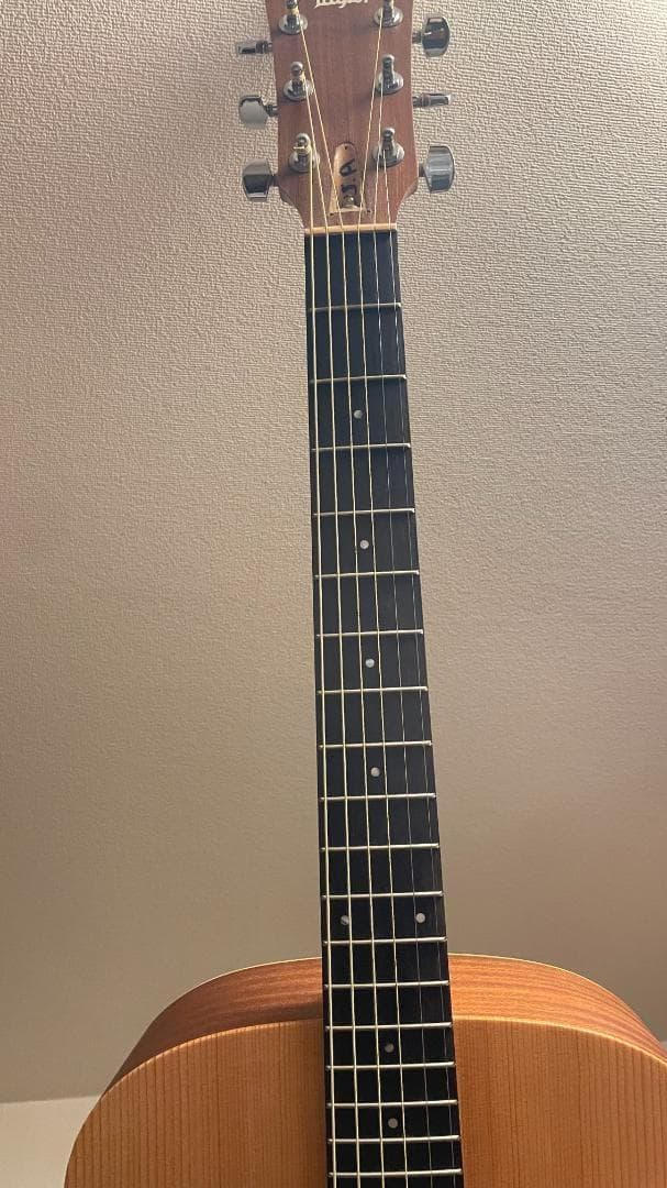 Taylor Guitars (テイラー) / Academy10