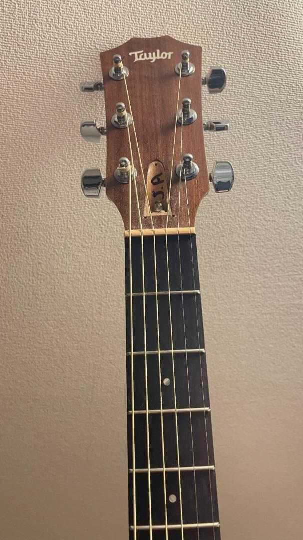 Taylor Guitars (テイラー) / Academy10