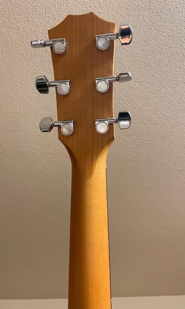Taylor Guitars (テイラー) / Academy10