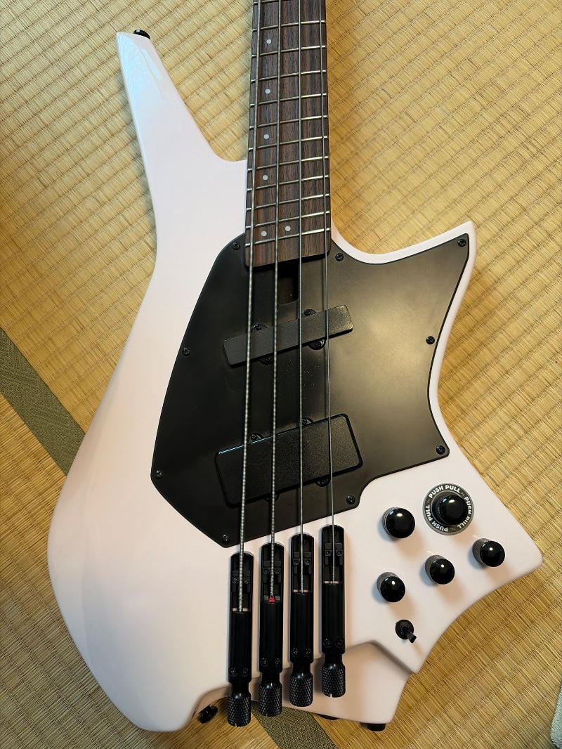 HEX Guitars / ZB400