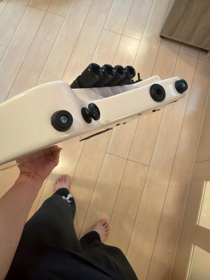 HEX Guitars / ZB400