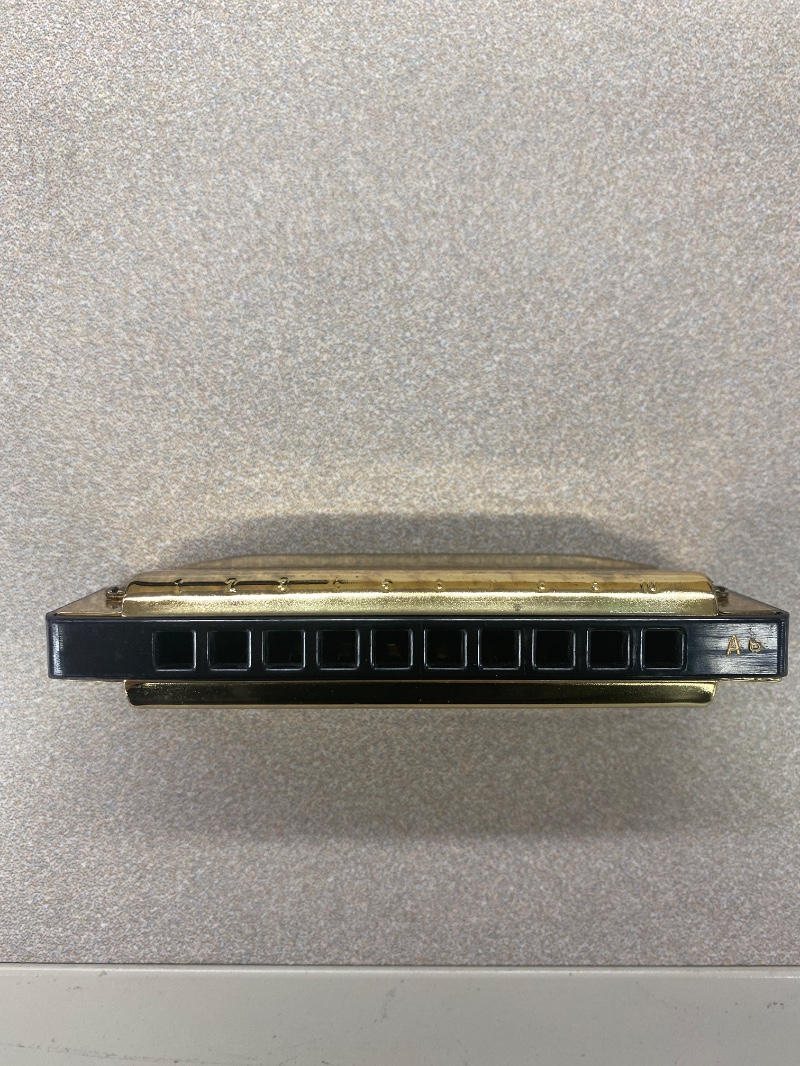 Hering Harmonicas (ヘリングハーモニカ) / Golden Blues 10ホールズハーモニカ/A D1606