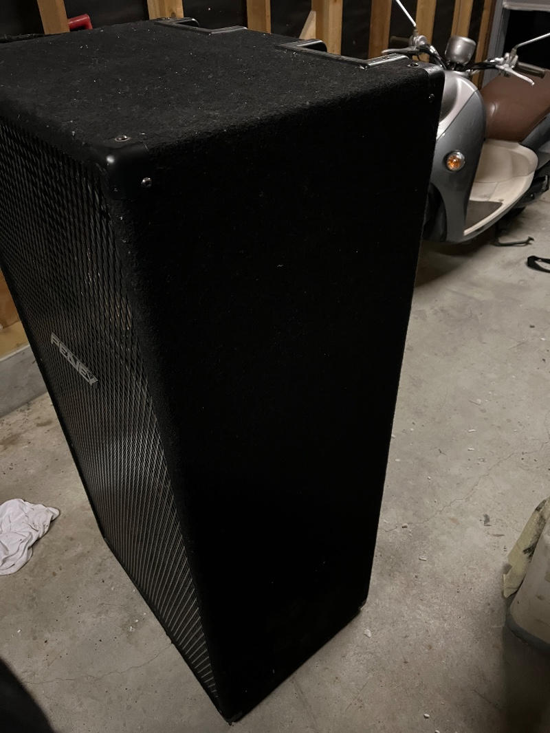 PEAVEY (ピーヴィー) / 810TX ベース用キャビネット