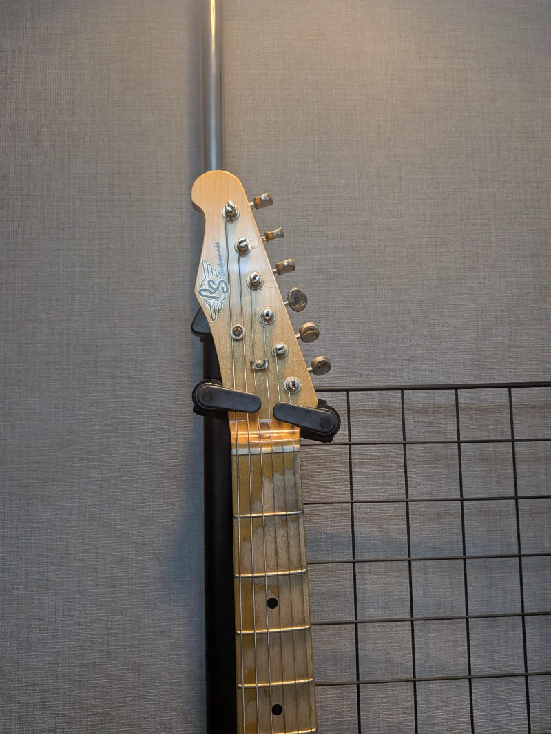 RS GUITARWORKS (アールエス ギターワークス) / Workhorse Special