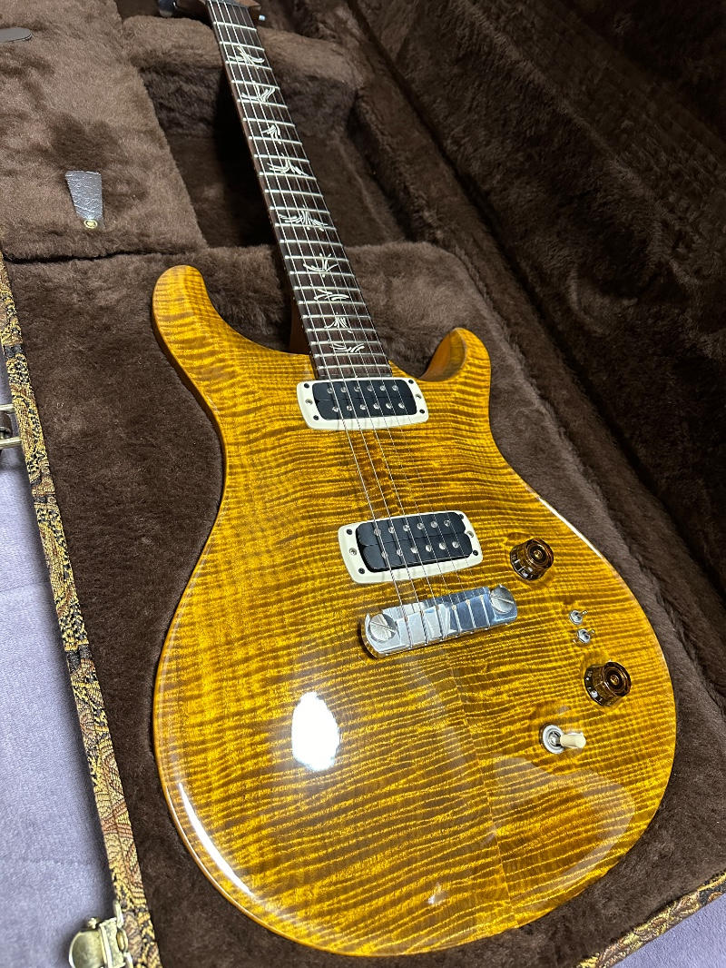 Paul Reed Smith (PRS) (ポールリードスミス) / Paul’s Guitar w/Brazilian Rosewood FB