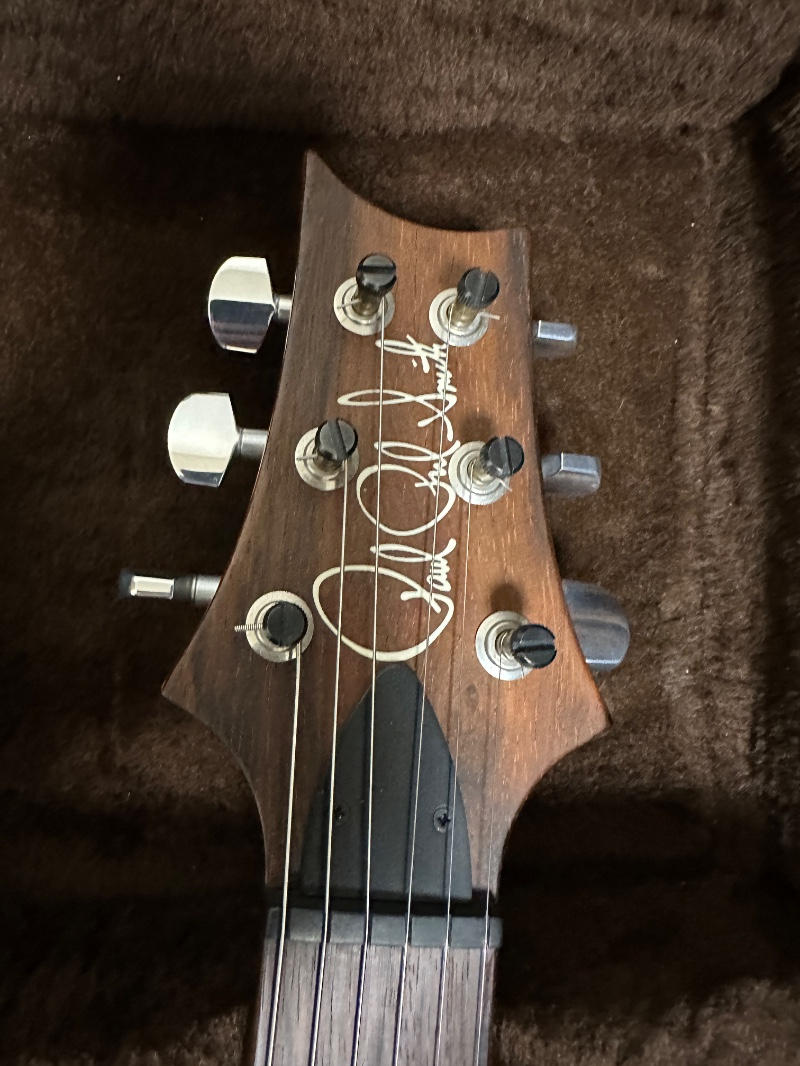 Paul Reed Smith (PRS) (ポールリードスミス) / Paul’s Guitar w/Brazilian Rosewood FB