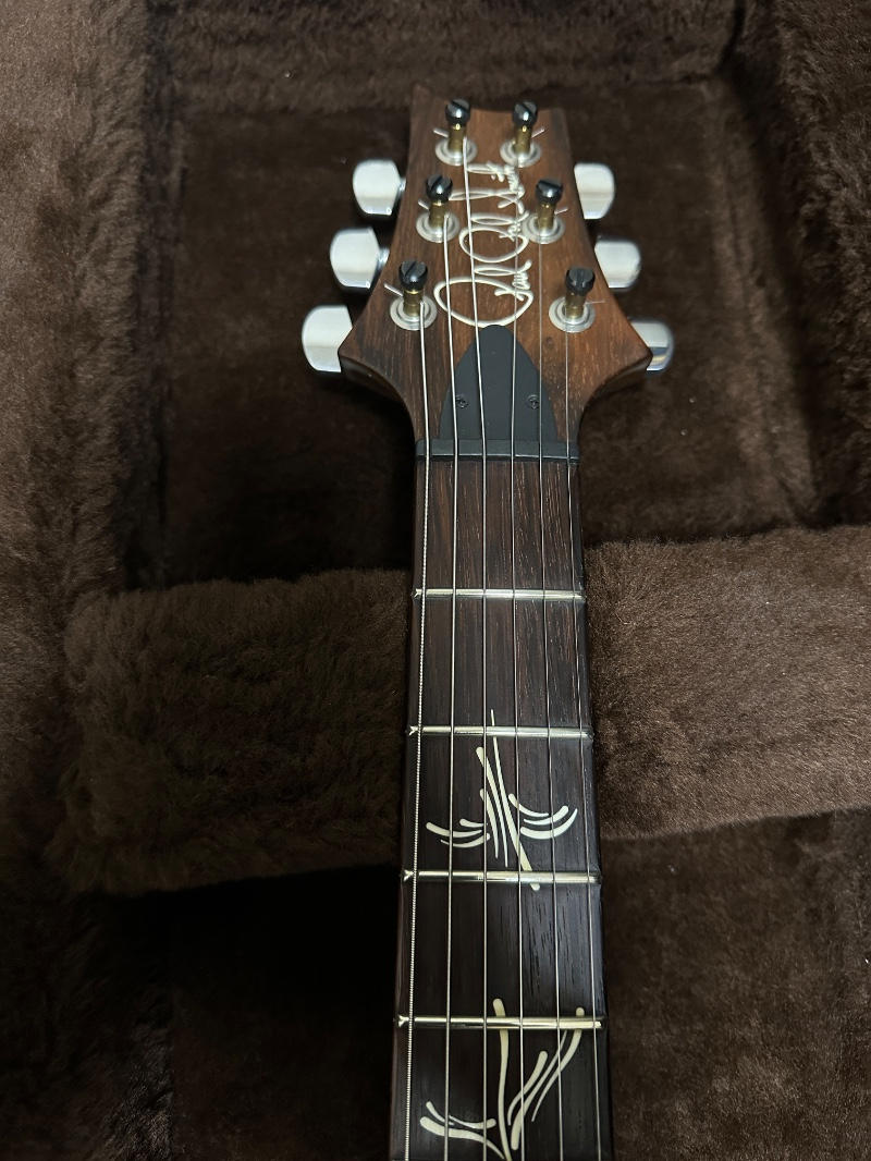 Paul Reed Smith (PRS) (ポールリードスミス) / Paul’s Guitar w/Brazilian Rosewood FB
