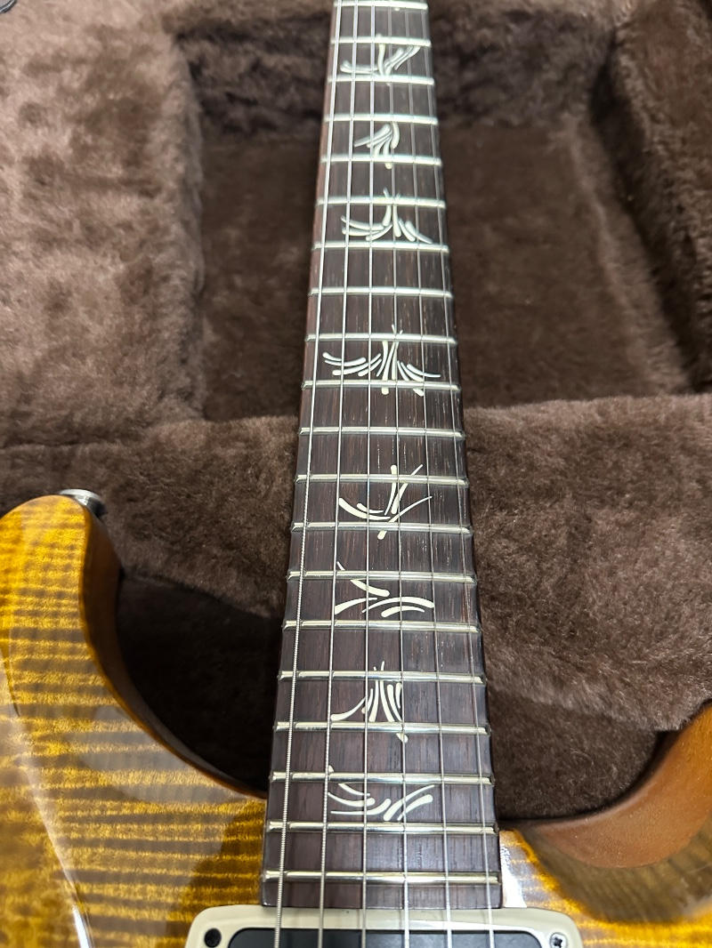 Paul Reed Smith (PRS) (ポールリードスミス) / Paul’s Guitar w/Brazilian Rosewood FB