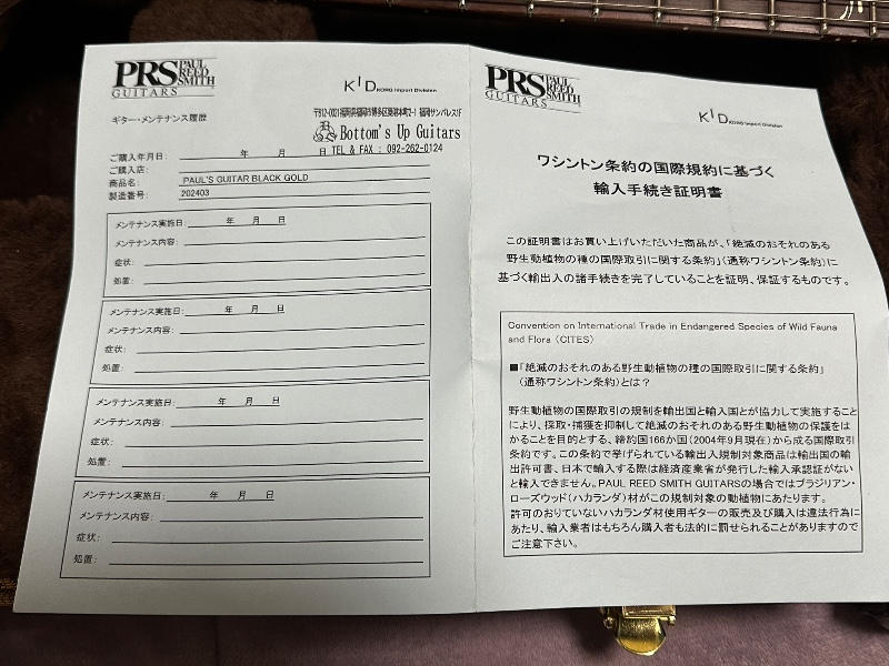 Paul Reed Smith (PRS) (ポールリードスミス) / Paul’s Guitar w/Brazilian Rosewood FB