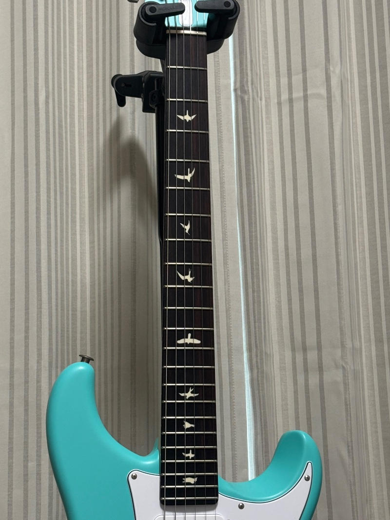 Paul Reed Smith (PRS) (ポールリードスミス) / 【限定1000本】PRS SILVER SKY WILD BLUE