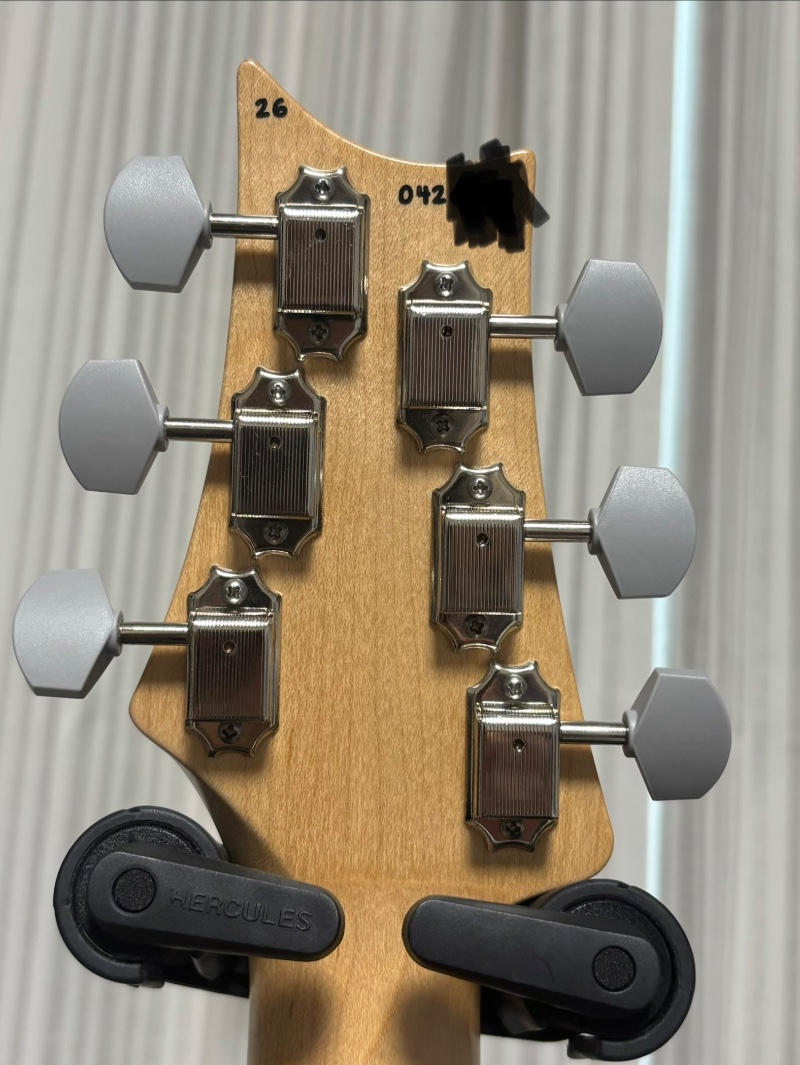 Paul Reed Smith (PRS) (ポールリードスミス) / 【限定1000本】PRS SILVER SKY WILD BLUE