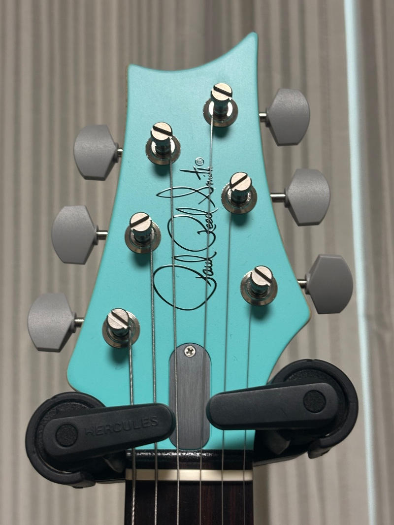 Paul Reed Smith (PRS) (ポールリードスミス) / 【限定1000本】PRS SILVER SKY WILD BLUE