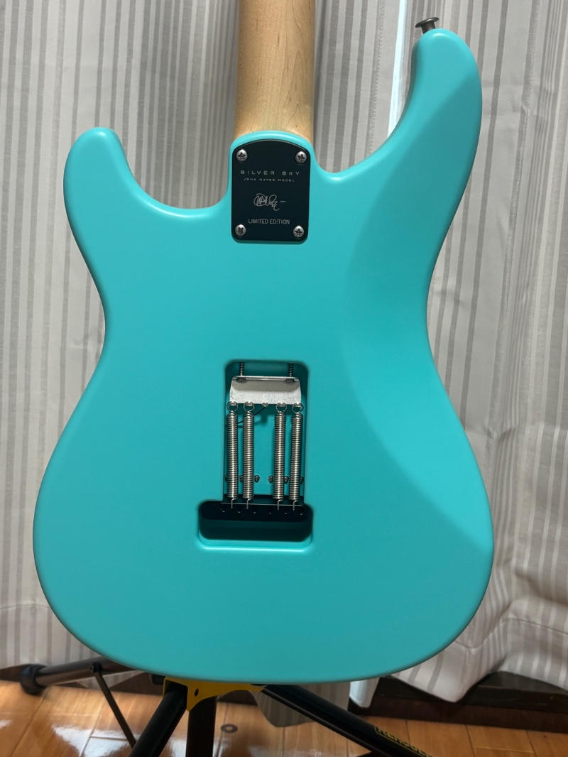 Paul Reed Smith (PRS) (ポールリードスミス) / 【限定1000本】PRS SILVER SKY WILD BLUE