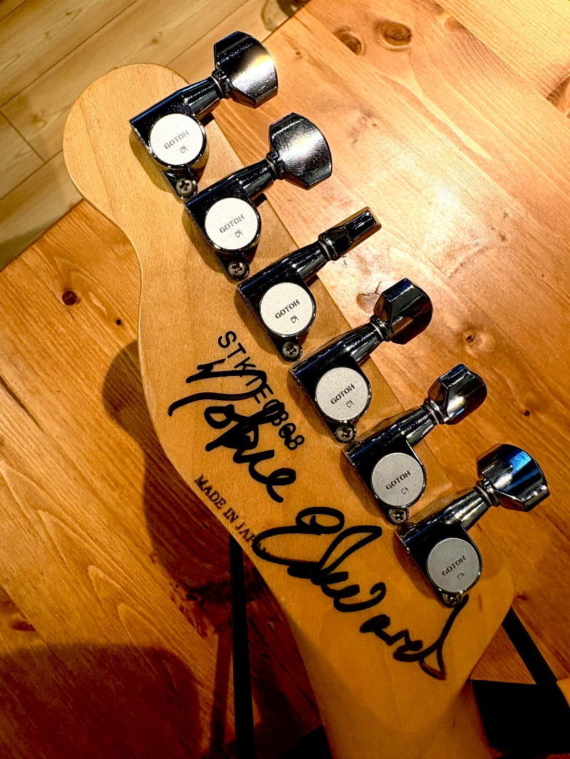SCHECTER (シェクター) / SCHECTER PA-LS/TK 凛として時雨