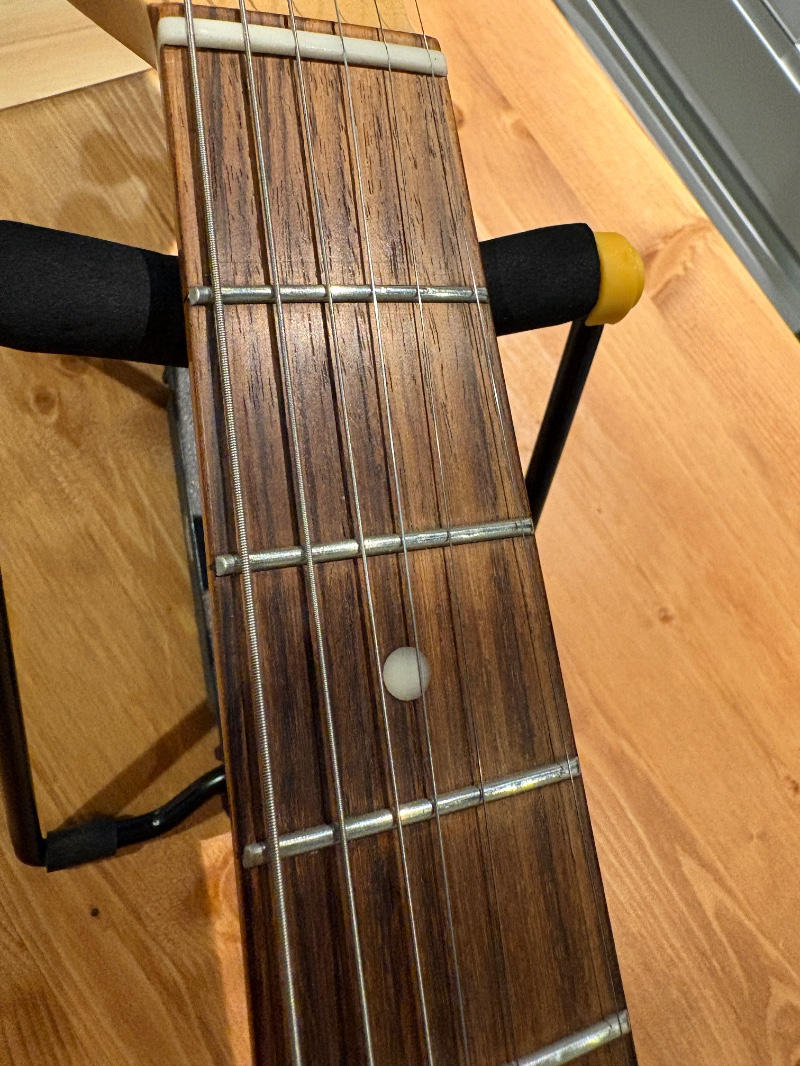 SCHECTER (シェクター) / SCHECTER PA-LS/TK 凛として時雨