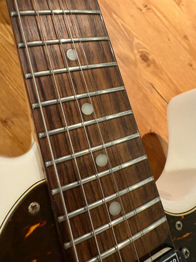SCHECTER (シェクター) / SCHECTER PA-LS/TK 凛として時雨